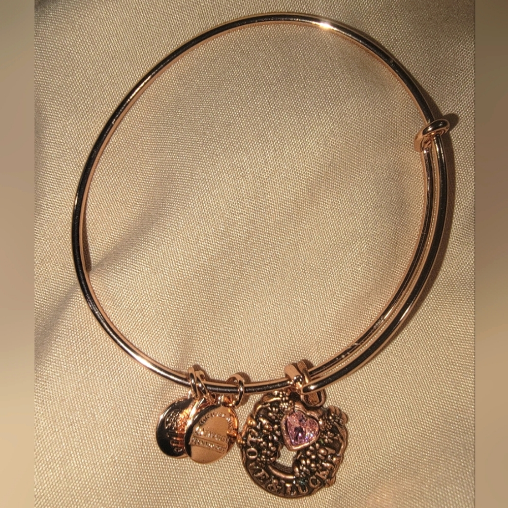 Alex and Ani bracelet - Picture 2 of 4